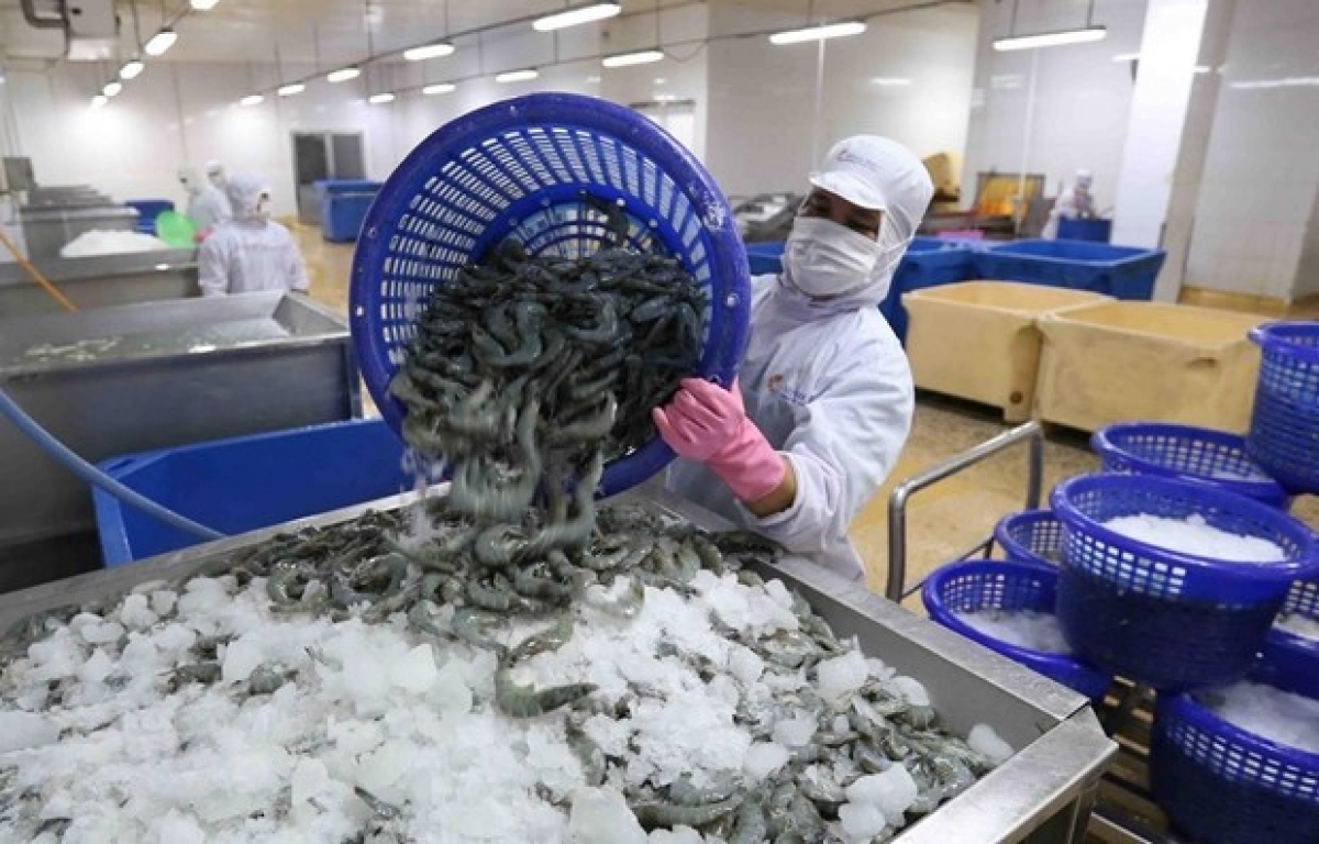 Shrimp exports anticipated to reach only about US$3 billion this year